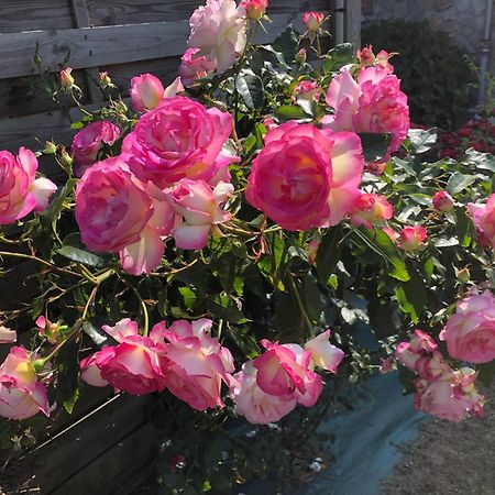 Les Hortensias Grand-Fougeray Luaran gambar